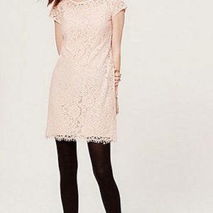 Lace Tee Dress